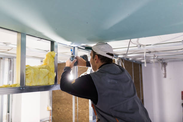 Range of Insulation Solutions in Chula Vista, TX